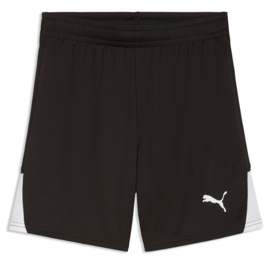 Puma - TeamLiga 26 Shorts - Black