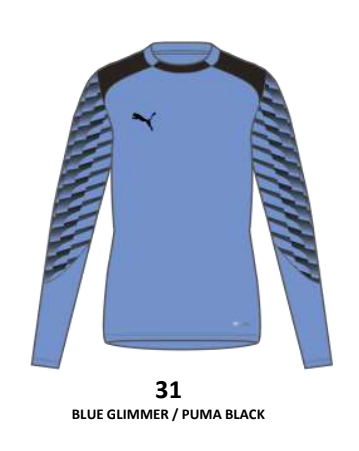 Puma- TeamLiga 26 GK Jersey - Blue
