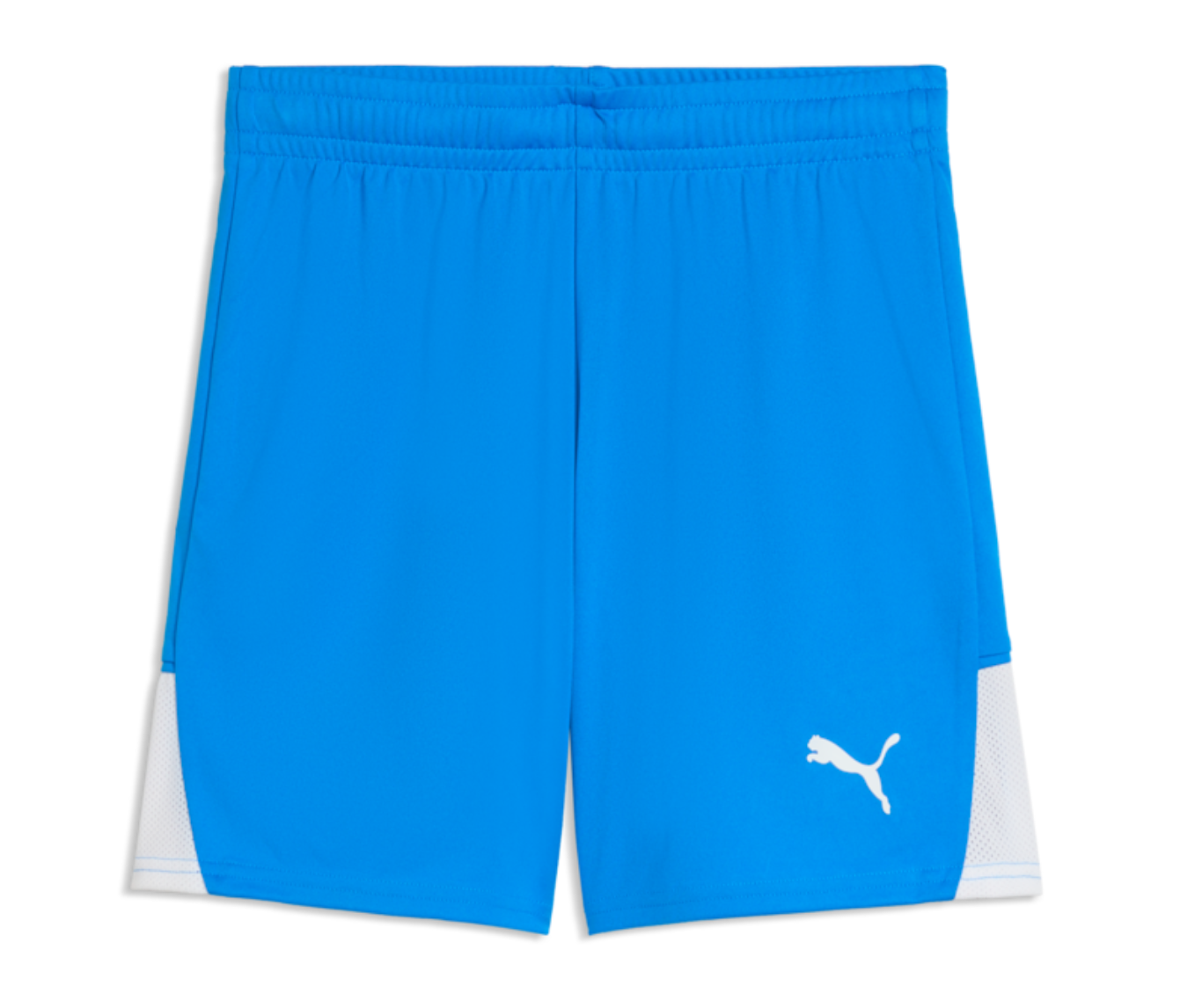 Puma - TeamLiga 26 - Royal Blue